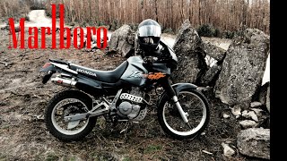 Honda Dominator 650 Marlboro Edition [upl. by Adela]