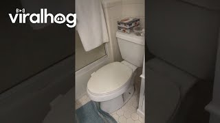 TwoToilet Bathroom  ViralHog [upl. by Aden]