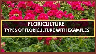 FLORICULTURE  WHAT IS FLORICULTURE TYPES OF FLORICULTURE PLANTS WITH EXAMPLES [upl. by Durman]