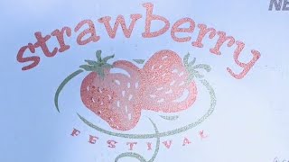 Cedarburgs Strawberry Festival back after COVID cancellations  FOX6 News Milwaukee [upl. by Auqenaj]