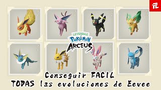 GUIA  Como EVOLUCIONAR a EEVEE FACIL TODAS las EVOLUCIONES en Leyendas Pokemon Arceus en Español [upl. by Cayser]