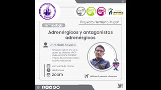 PHM⚕️FARMACOLOGÍA🐼🖤🤍 💚ADRENÉRGICOS Y ANTAGONISTAS ADRENÉRGICOS💊 [upl. by Azzil]