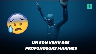 Quel est ce son effrayant capté par lapnéiste Guillaume Néry au fond de la mer [upl. by Haveman692]