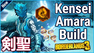 Best Mayhem 11 Kensei Amara Build  Save File  Borderlands 3 [upl. by Atinas26]