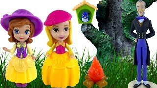 DISNEY JUNIOR SOFIA INTAI AVENTURA CERCETASELOR CU SOFIA SI PASARICA MIA  BUTTERCUP TROOP ADVENTURE [upl. by Oirretno]