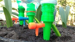 Drip Irrigation  Self Watering System For Plants with Plastic Bottles [upl. by Bat]