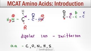 Amino Acids Intro to Structure Charge Classification and Reactions [upl. by Tarazi661]