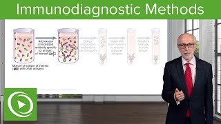 Immunodiagnostic Methods – Immunology  Lecturio [upl. by Adahs]