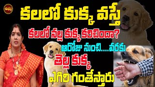 కలలో కుక్క కరిస్తే వచ్చే ఫలితాలు తెలిస్తే షాక్ అవుతారు KALALO KUKKA KANISTE  KALALO KUKKA KARISTE [upl. by Arba]