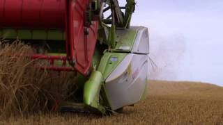 UK Spring Barley World Harvest Record Yield [upl. by Schober450]