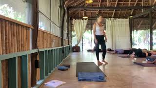 Using Grounding for Proper Elongation  Alignment Yoga Class with Tal Swissa [upl. by Hyland]