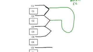 How to Biology amp Anatomy Cervical plexus nerves [upl. by Fitts]