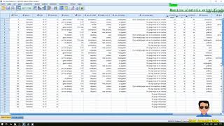 SPSS Muestreo aleatorio estratificado [upl. by Skylar]