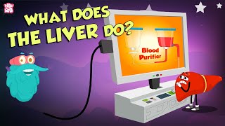 What Does The Liver Do  Liver Functions  The Dr Binocs Show  Peekaboo Kidz [upl. by Cole]