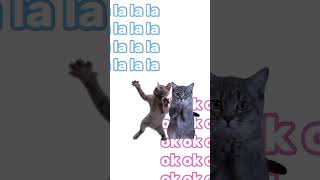 la la la  ok ok ok meme  Gatos [upl. by Gregorius]