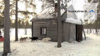 huskytrack Hundeschlittentour in Lappland [upl. by Ezra]