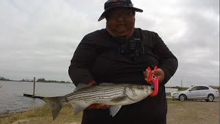 Perfect Weather For Fishing ONeill Forebay Fishing [upl. by Gare]