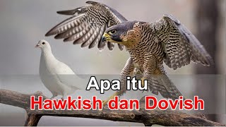 APA ITU HAWKISH DAN DOVISH [upl. by Gies]