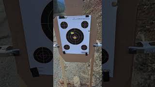 save ammo with a laser bore sight beretta 1301 zero is too easy [upl. by Ragas]