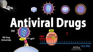 Antiviral Drugs Mechanisms of Action Animation [upl. by Offen]