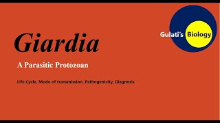 Giardia lamblia  Life cycle  Mode of infection  Pathogenicity [upl. by Tiemroth]