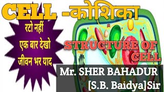 STRUCTURE OF CELL कोशिका का चित्र BY SB BAIDYA SIR [upl. by Zampino163]