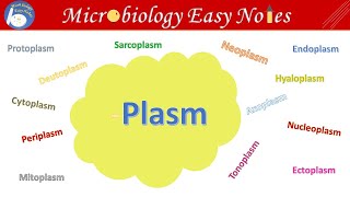 Different types of plasm in the cell like Mitoplasm Hyaloplasm Nucleoplasm amp Deutoplasm etc [upl. by Bradly]