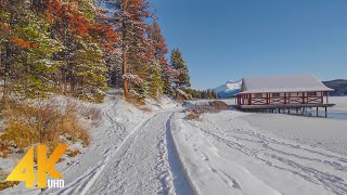 4K Jasper National Park Canada  Winter Walking Tour through Forest with Nature Sounds  Part 2 [upl. by Emirej457]