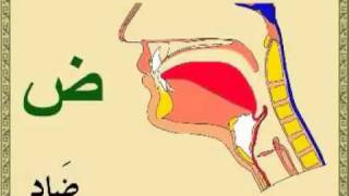 Learn the pronunciation of Arabic letters the easy way [upl. by Enela505]