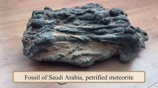 6 Rare Fossil of Saudi Arabia petrified meteorite [upl. by Annoyt]