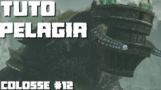 Shadow of the Colossus Pelagia Boss Fight  12th Colossus PS3 1080p [upl. by Nnylsoj]