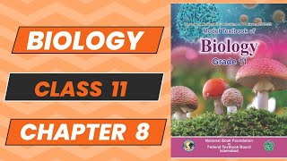 Biology 11 Chapter 8 Plantae Topic 2 New Book NBF 2024 Complete Explanation FBISE [upl. by Oika]