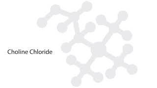 Introducing PuraChol from Balchem [upl. by Enidan]