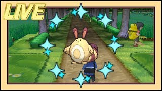 ISHC 5 LIVE 2 in 1 DAY 56 Shiny Sentret After ONLY 75 REs X [upl. by Andrus]