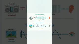 longitudinal waves explained [upl. by Ztnarf]