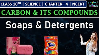 Class 10th Science  Soaps amp Detergents  Chapter 4 Carbon and its Compounds  NCERT [upl. by Ymorej]