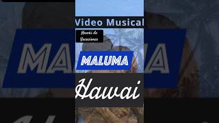 “Hawái” De Vacaciones por Maluma Reggaeton shorts [upl. by Annairol197]