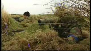 SAS  Survival Secrets Behind Enemy Lines Scenario 1 Full Episode [upl. by Jeanna]