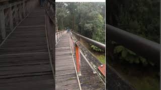 Noojee Trestle Bridge [upl. by Yttig]