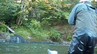 Kalama River Washington Fly Fishing for Summer Run Steelhead Funkdafied [upl. by Deden]