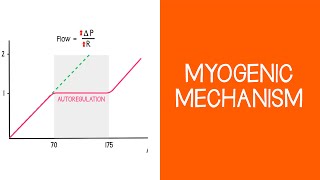 27 Renal Myogenic Mechanism [upl. by Linea105]