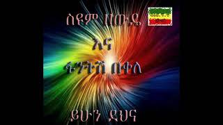 Seyoum Zewde amp Fantish Bekele  yihun dehna [upl. by Yesak]