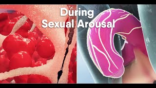 Short trackDo you know what happens During sexual arousal inside the body what is the clitoris [upl. by Chadd]