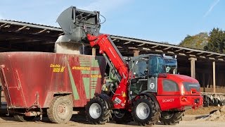 Weidemann – Teleskopradlader 3080T Einsatz in der Landwirtschaft [upl. by Aehsat833]