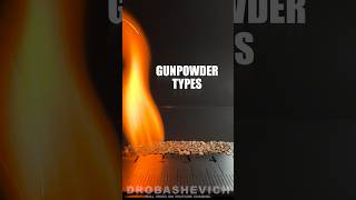 SHOTGUN POWDER TYPES shotgun gun usa gunpowder winchester ammo test 12gauge hunting hunter [upl. by Arymas871]