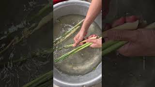 Preparing Fresh Vegetables for a Delicious Chicken Hot Pot  Farming amp Rural Life  Soul Healing [upl. by Zelle636]