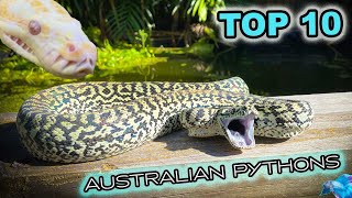 Ten Awesome Australian Pet Pythons 🪱🎉 [upl. by Acimahs]