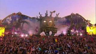 Avicii Levels  Tomorrowland 2011 HD [upl. by Nerita297]