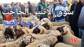 أثمنة الغنم والماعز والدجاج والخضر سوق الحاجب اليوم [upl. by Adekam]