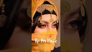 New Arabian Remix amp Hojat Ashrafzadeh  I Miss You  أفتقدك  Vip Pro Music 2024 ريمكس عربي جديد [upl. by Ahsinyar199]